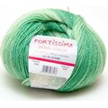 Fortissima Disco Color 6 vihreä
