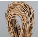 Filona Paperinauha 0,8 100 g 2 pahvi