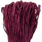 Filona Paperinauha 0,8 100 g 5 purppura