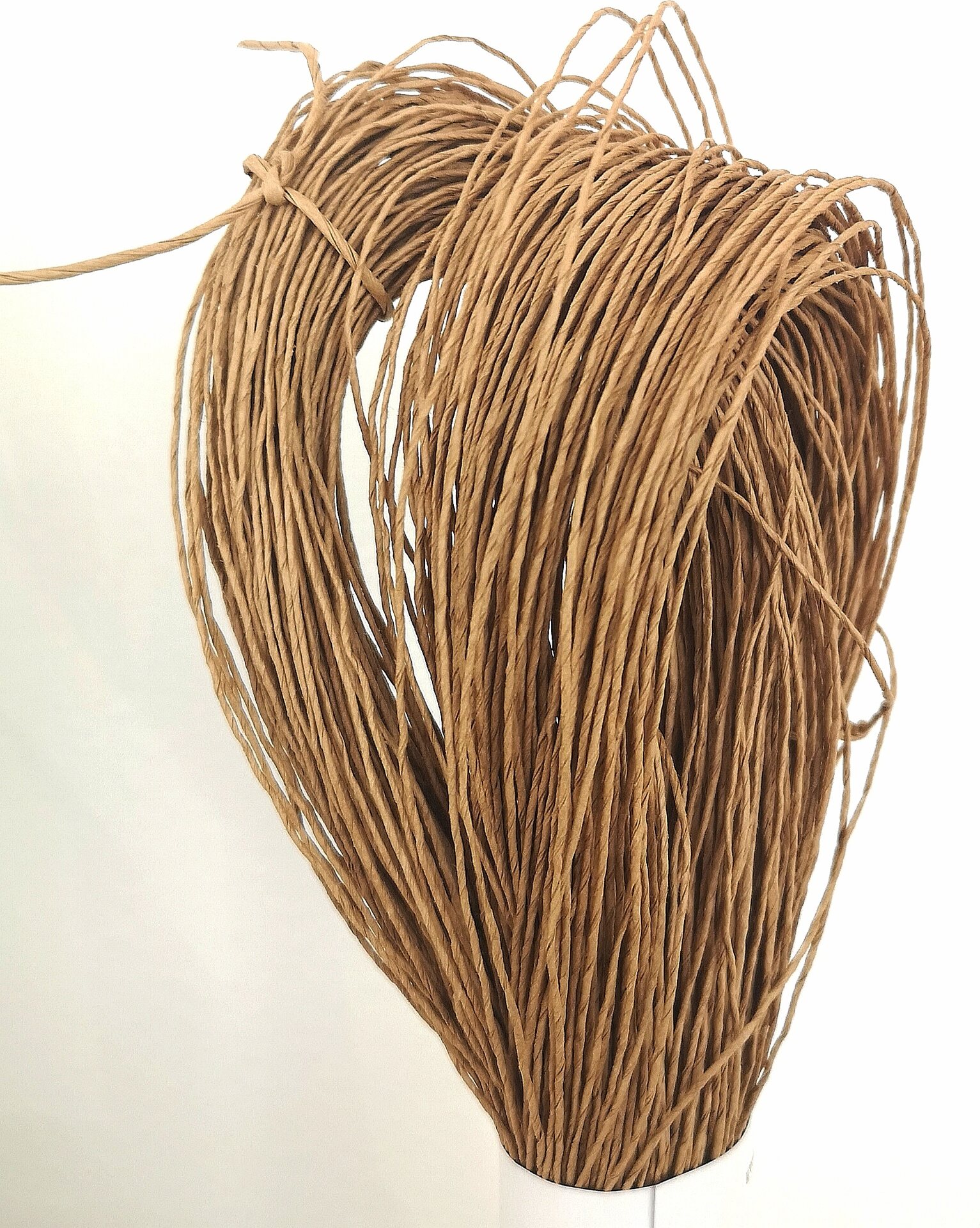 Filona Paperinaru 0,8 200 g 2 Pahvi