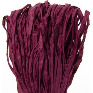 Filona Paperinauha 0,8 100 g, 5 purppura