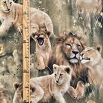 Mainelakeus Royal Family