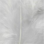 Höyhenet, valkoinen 5-12 cm 15 kpl