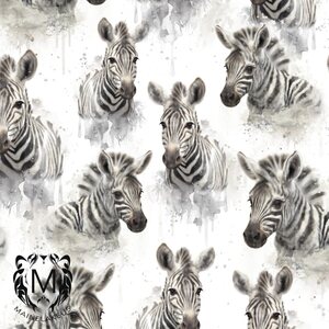 Mainelakeus Zebra
