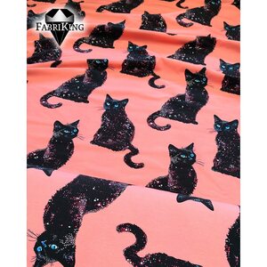 Fabriking Trikoo, Cat hour