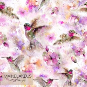 Mainelakeus Trikoo, Kolibri