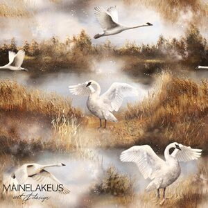 Mainelakeus Trikoo, Joutsenet