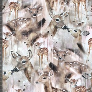 Mainelakeus Trikoo, Bambi