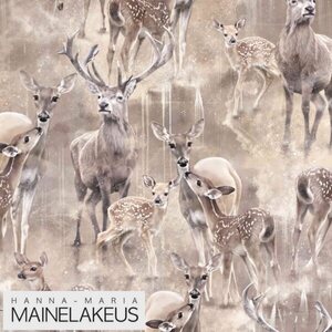 Mainelakeus Joustocollege, PAURAPERHE