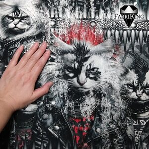 Fabriking Trikoo, Rockstar Cats red grunge