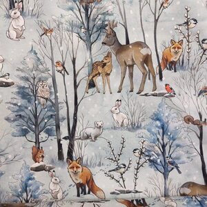 Lempikangas Trikoo, Talven tarina