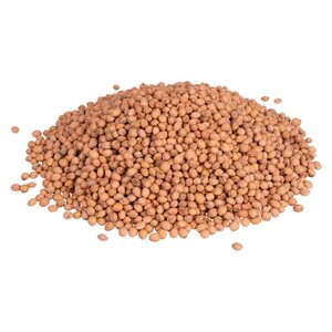 Kirsikan kivet 750 g