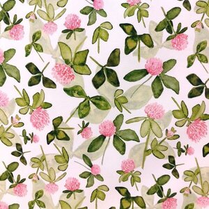 Lempikangas Trikoo, Puna-apila, white