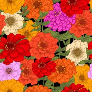 Lempikangas Trikoo, Tsinnia