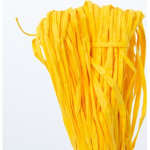 Filona Paperinauha 0,8 100 g