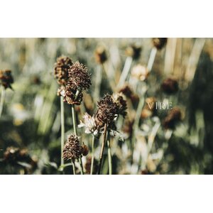 Cozy Publishing Urban Knit Iisi Helpot modernit neuleet