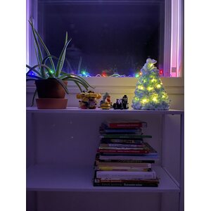 PAAPO Lumikuusi mini TSI-paketti