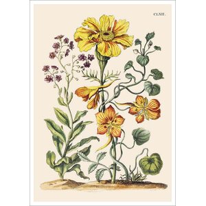 Postikortti John Nurminen - Keltaiset kukat