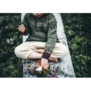 Cozy Publishing Arctic Knitting – Luonnon lumoa ja kuvioneulontaa