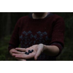 Jenna K Mustikkametsä A5 printtiohje