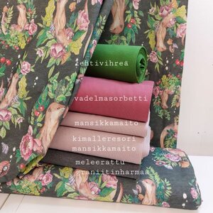 Lempikangas Trikoo, KAISLIKON KAHINA, ÖINEN ANTRASIITTI