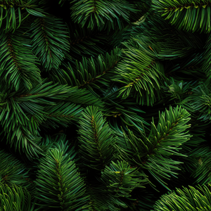 Lempikangas Trikoo, HAVUN HELMASSA