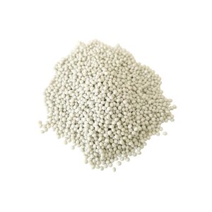 Serina Painorae