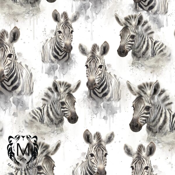 Mainelakeus Zebra